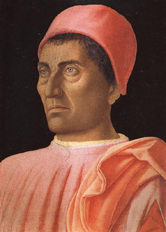 Andrea Mantegna Portrait of Carlo de'Medici Sweden oil painting art